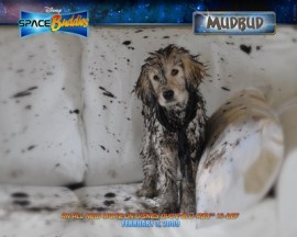 Mudbud